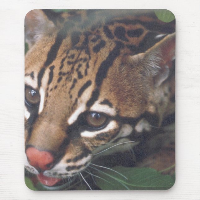 OCELOT MOUSEPAD (Vorne)