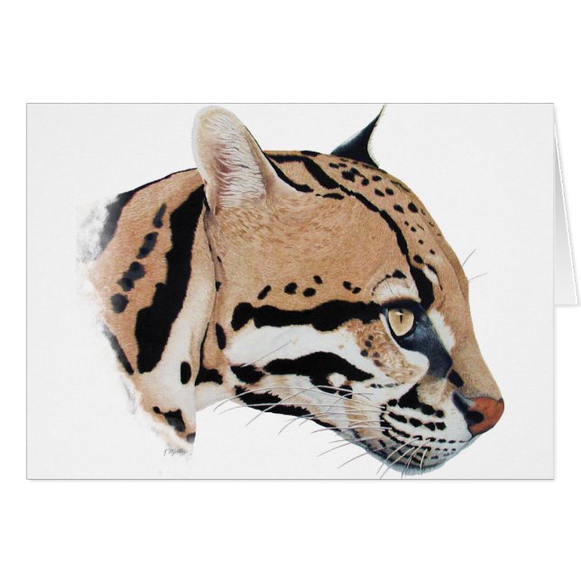 Ocelot Portrait (Vorderseite (Horizontal))