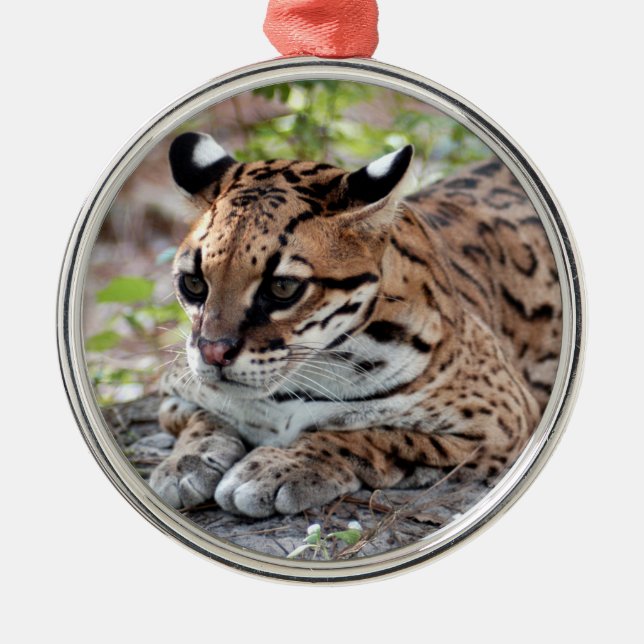 Ocelot-Weihnachtsverzierung Ornament Aus Metall (Vorne)