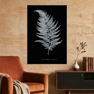 Ochre-Farnwedel, Gymnogramma Ochracea Poster