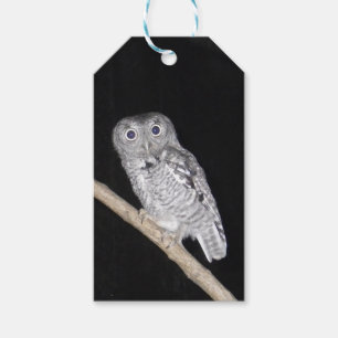 Ochse Geschenkanhänger