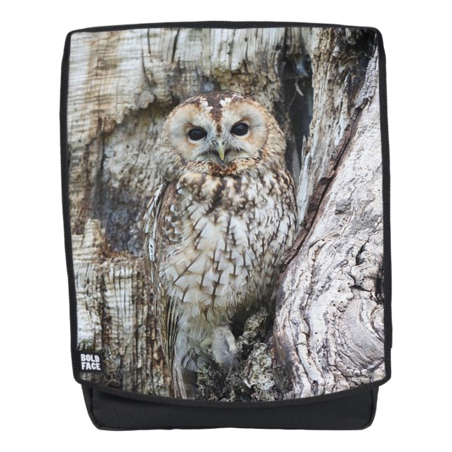 Ochse Rucksack (Vorderseite)