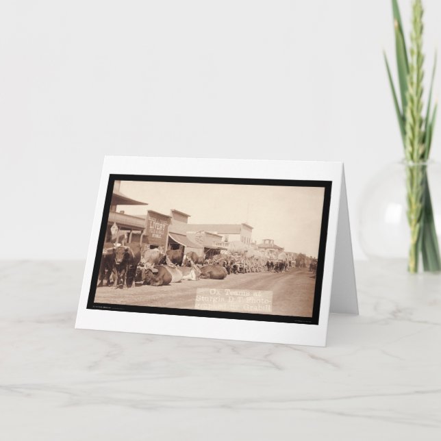 Ochsen-Teams an Sturgis Dakota Gebiet Sd 1887 Karte (Vorderseite)