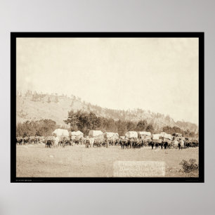 Ochsen-Teams, die im Tal Black Hills Sd 1887 Poster