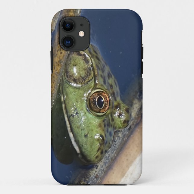 Ochsenfrosch iPhone Fall Case-Mate iPhone Hülle (Rückseite)