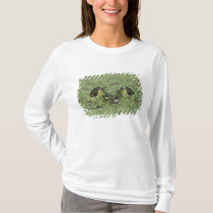 Ochsenfrosch, Rana catesbeiana, erwachsen in Enten T-Shirt