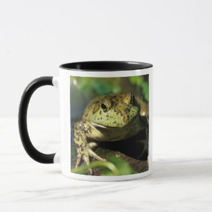 Ochsenfrosch. Tasse