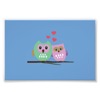 Ochsenpaar Fotodruck