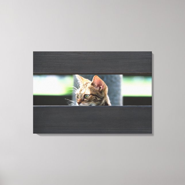 Ocicat 4 leinwanddruck (Vorderseite)