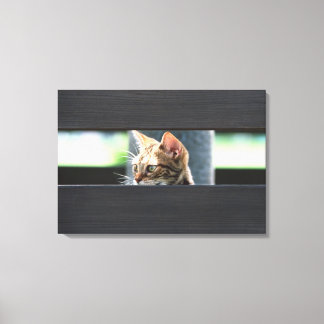 Ocicat 4 leinwanddruck