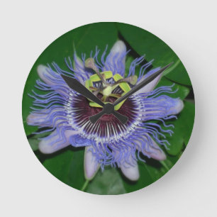 Ocoee Blume Passiflora caerulea Passion Blume Runde Wanduhr