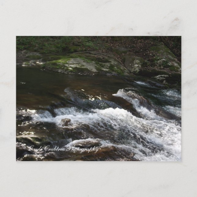 Ocoee River, Tennessee Postkarte (Vorderseite)