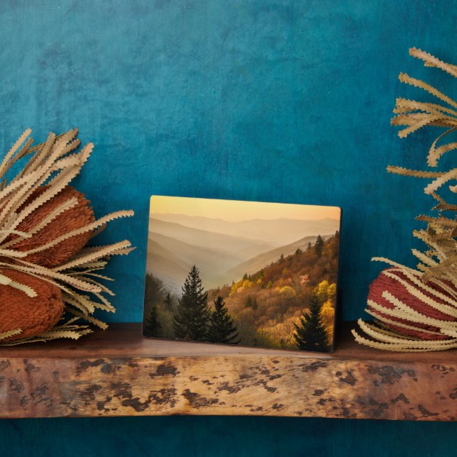 Oconaluftee Valley Aussicht | North Carolina Fotoplatte (Seite)