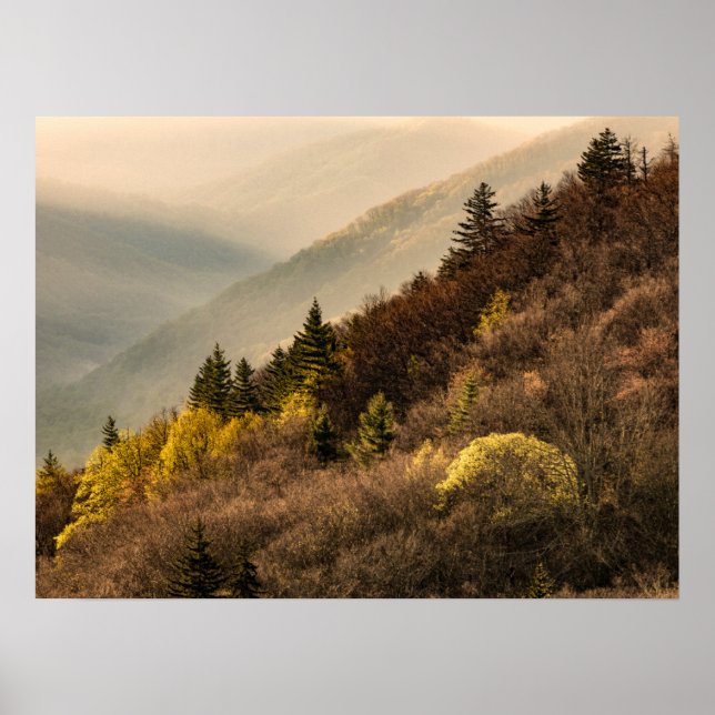 Oconaluftee Valley Aussicht | North Carolina Poster (Vorne)