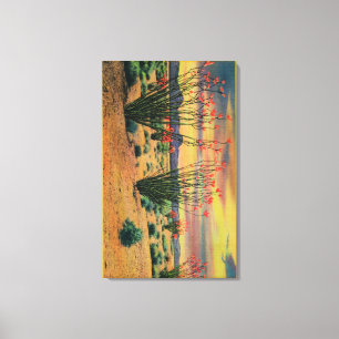 Ocotillo-Blumen in der Blüte, Kalifornien Leinwanddruck