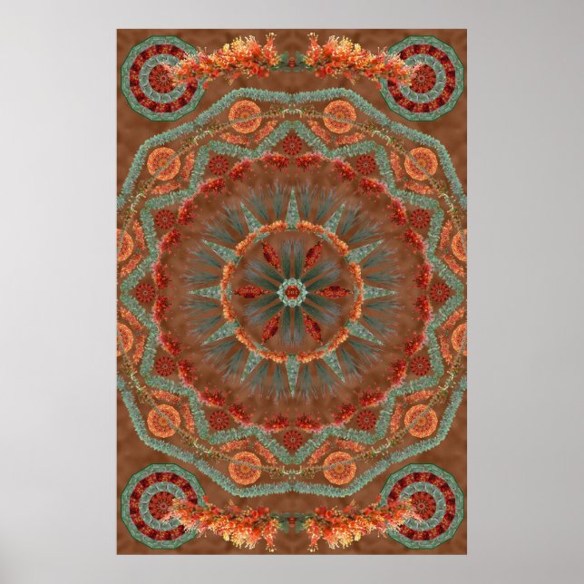 Ocotillo Mandala 1 Poster (Vorne)