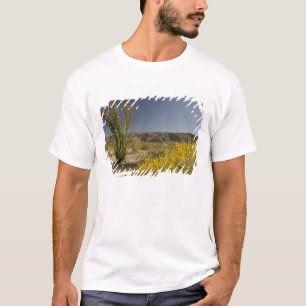 Ocotillo und Wüste Senna T-Shirt