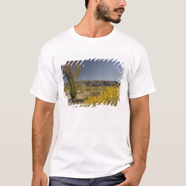 Ocotillo und Wüste Senna T-Shirt (Vorderseite)