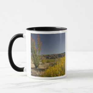 Ocotillo und Wüsten-Senna Tasse