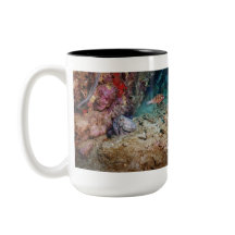 Octo-Tasse