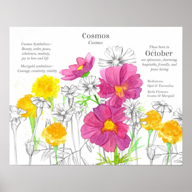 October Birth Flower Language of Flowers Marigold Poster (Vorne)