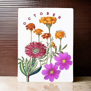 October Monat Blumen Ringelblume & Kosmos   Postkarte