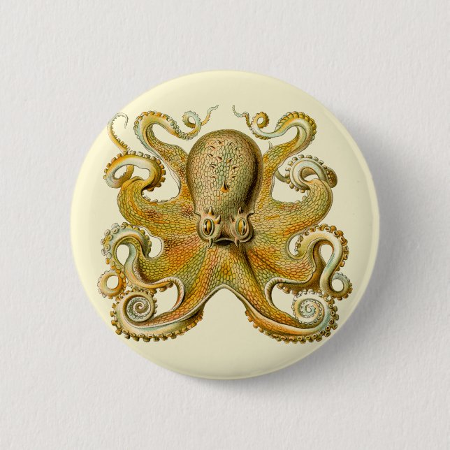 Octopus antike Illustration Seeungeheuer Button (Vorderseite)