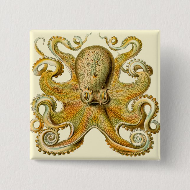 Octopus antike Illustration Seeungeheuer Button (Vorderseite)