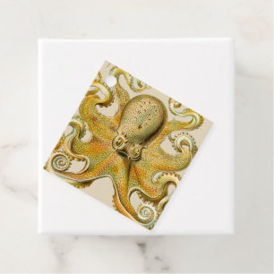 Octopus antike Illustration Seeungeheuer Geschenkanhänger
