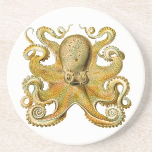 Octopus antike Illustration Seeungeheuer Getränkeuntersetzer