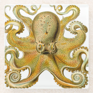 Octopus antike Illustration Seeungeheuer Glasuntersetzer