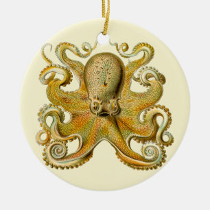 Octopus antike Illustration Seeungeheuer Keramikornament