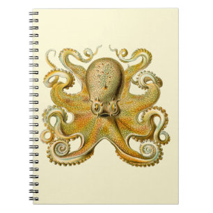 Octopus antike Illustration Seeungeheuer Notizblock