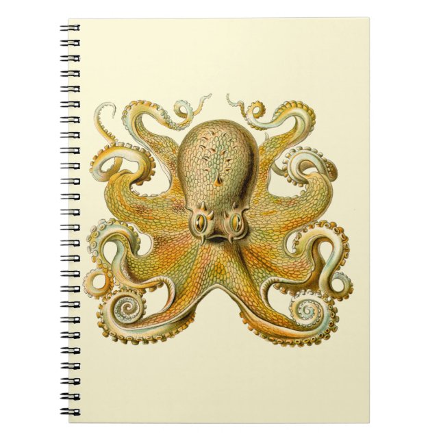 Octopus antike Illustration Seeungeheuer Notizblock (Vorderseite)