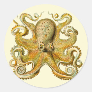 Octopus antike Illustration Seeungeheuer Runder Aufkleber
