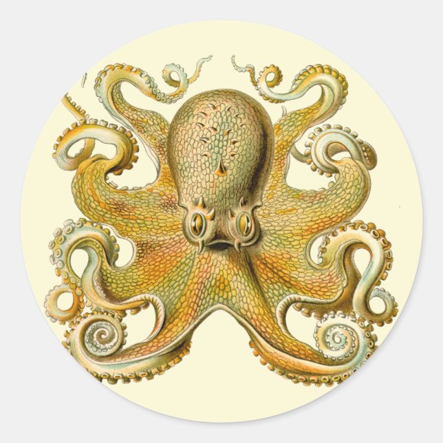 Octopus antike Illustration Seeungeheuer Runder Aufkleber (Vorderseite)