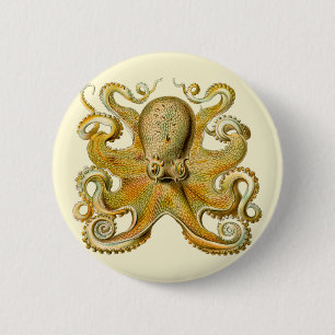 Octopus antique illustration sea monster button