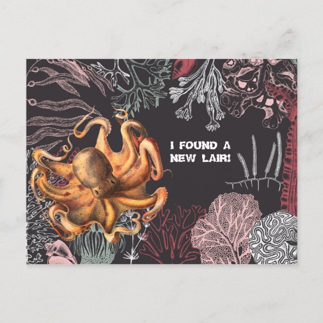Octopus Garden Adresswechsel Postkarte (Vorderseite)