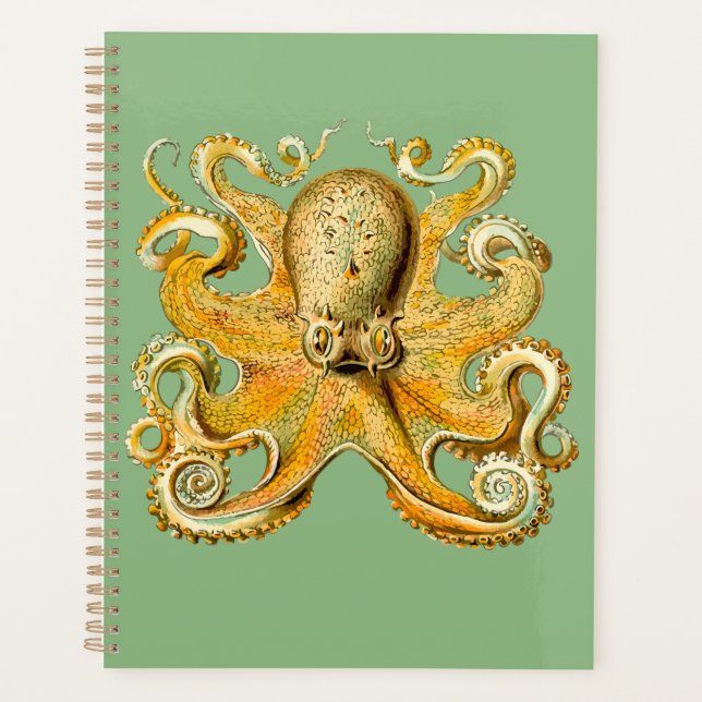 Octopus Gold und Blue Spiral Planner Planer (Vorderseite)