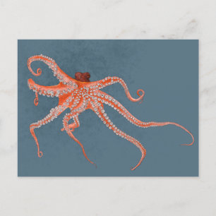 Octopus Hugs Postkarte