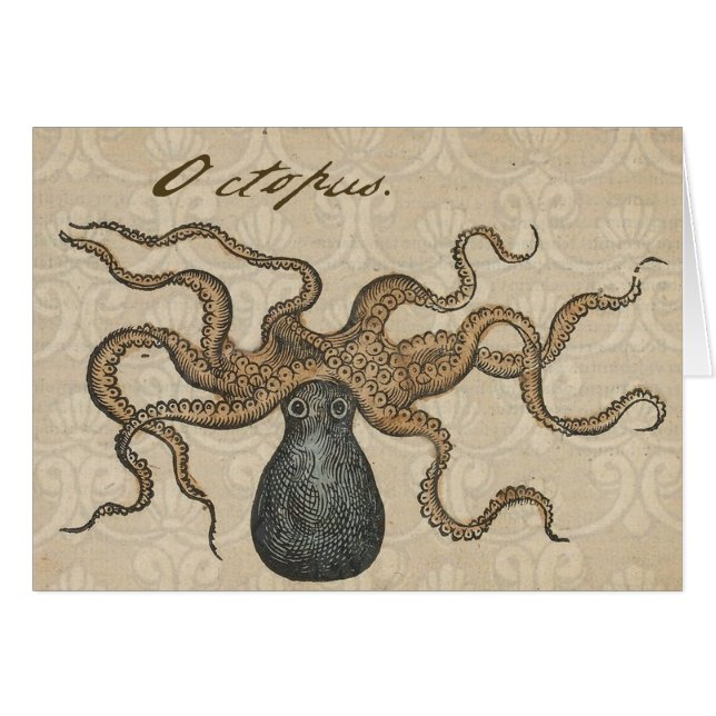 Octopus Kraken Vintag Illustration (Vorderseite (Horizontal))