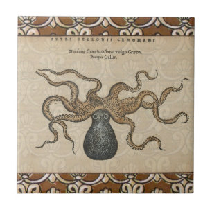 Octopus Kraken Vintag Illustration Fliese