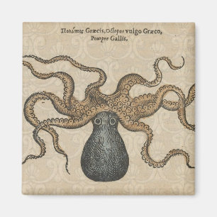 Octopus Kraken Vintag Illustration Magnet