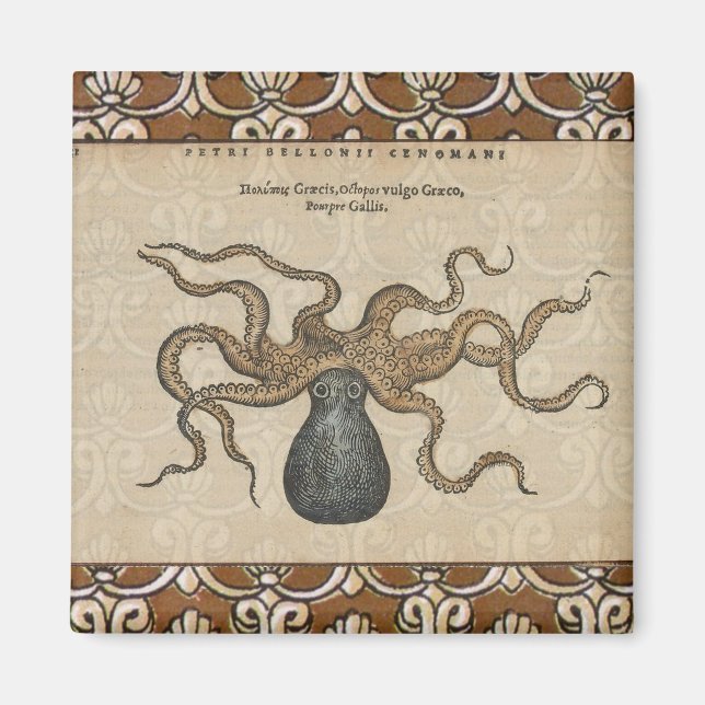 Octopus Kraken Vintag Illustration Magnet (Vorne)