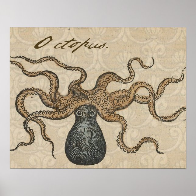 Octopus Kraken Vintag Illustration Poster (Vorne)