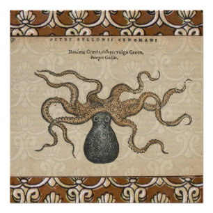 Octopus Kraken Vintag Illustration Poster