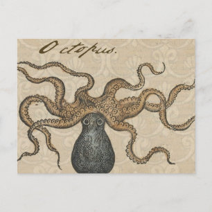Octopus Kraken Vintag Illustration Postkarte