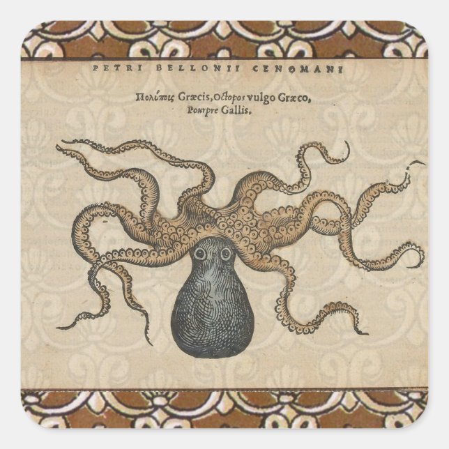 Octopus Kraken Vintag Illustration Quadratischer Aufkleber (Vorderseite)