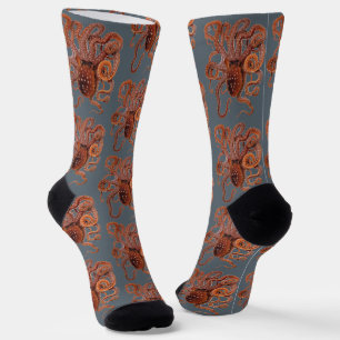 Octopus Macropus, Vintage Meeresaquarien Tiere Socken