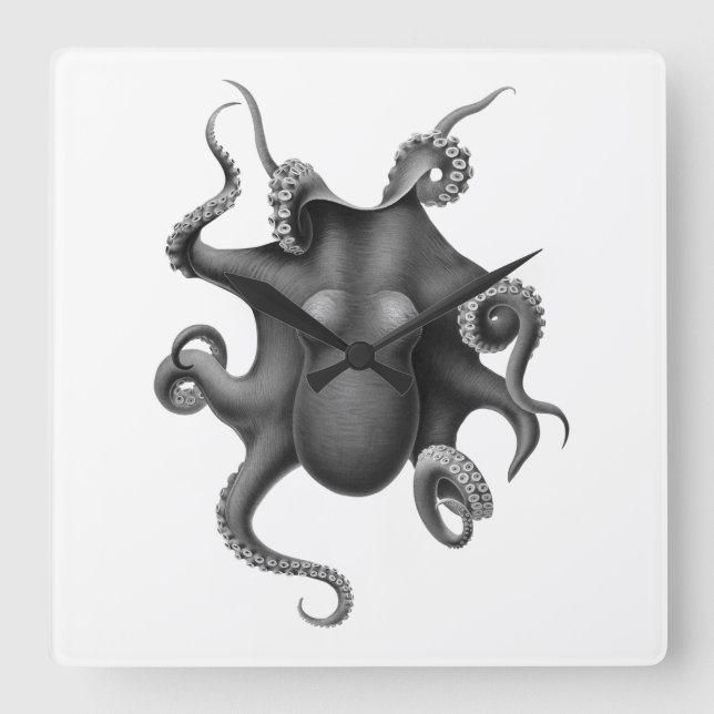 "OCTOPUS" NAUTISCHE ACRYLIC WALLCLOCK QUADRATISCHE WANDUHR (Vorderseite)